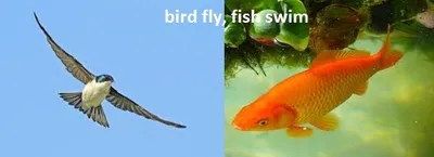 Illustration natural - Image 2