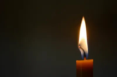 Illustration waver - Image 1