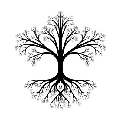 Illustration stem - Image 1