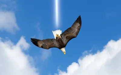 Illustration drops - Image 1