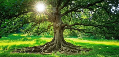 Illustration centred - Image 1