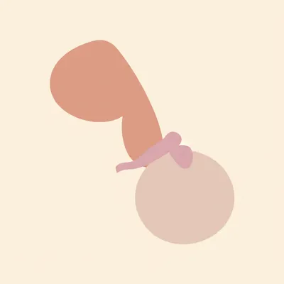 Illustration boning - Image 1