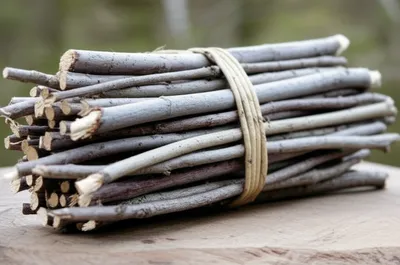 Illustration fagot - Image 1