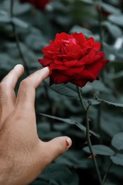 Illustration angers - Image 1