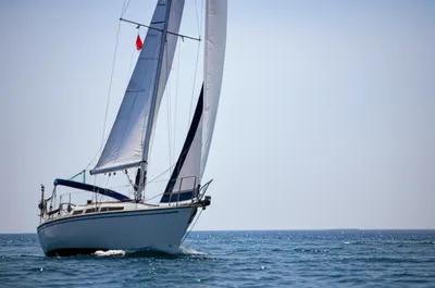 Illustration stay - Image 1