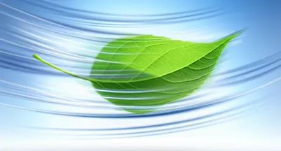 Illustration blow - Image 1