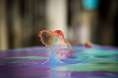 Illustration splash - Image 1