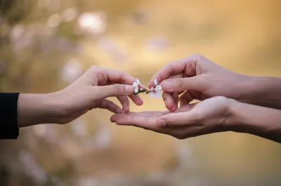 Illustration personally - Image 1