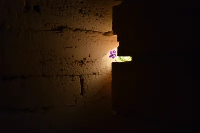 Illustration subtleties - Image 1