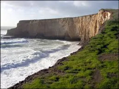 Illustration sheer - Image 2