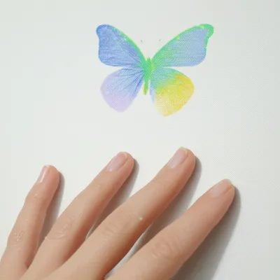 Illustration transferring - Image 1