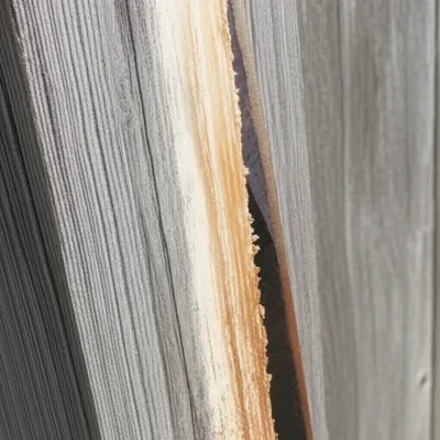 Illustration scrape - Image 1