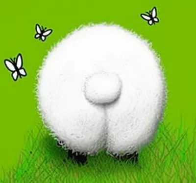 Illustration rears - Image 1