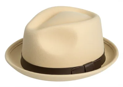 Illustration hatband - Image 1