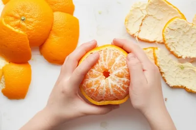 Illustration supreme - Image 1