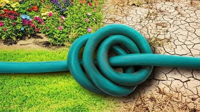 Illustration constipated