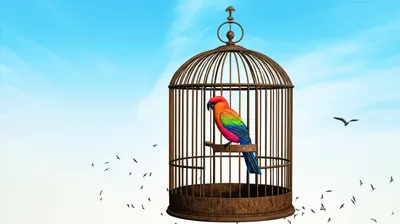 Illustration captivity