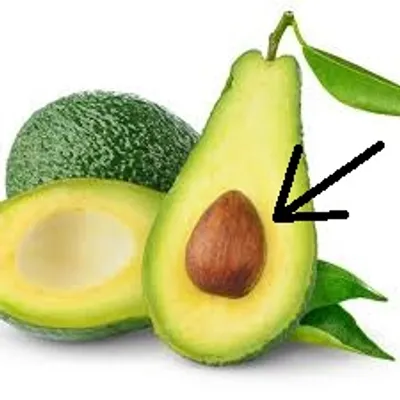 Illustration core - Image 2