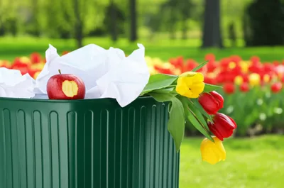 Illustration discards - Image 1