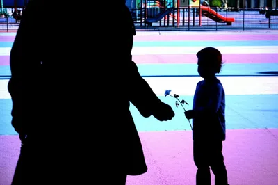 Illustration grooming - Image 1