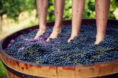 Illustration vats - Image 1