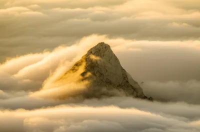 Illustration sum - Image 1