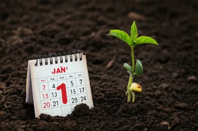 Illustration dates - Image 1