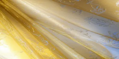 Illustration tissue - Image 1