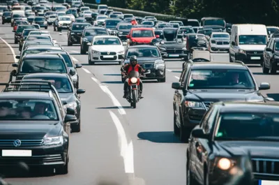 Illustration filtered - Image 1