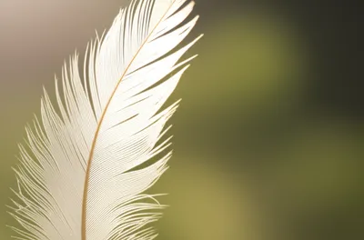 Illustration lightened - Image 1