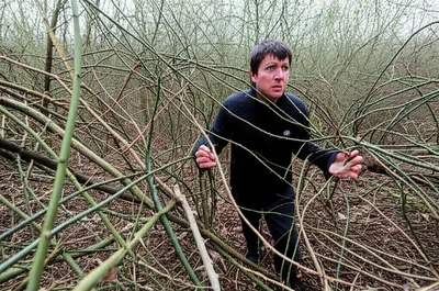 Illustration entangles - Image 1