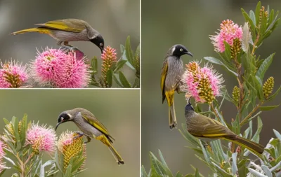 Illustration miners - Image 1