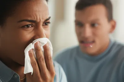 Illustration spit - Image 1