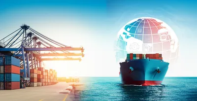 Illustration exported - Image 1