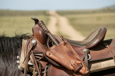 Illustration bucket - Image 1