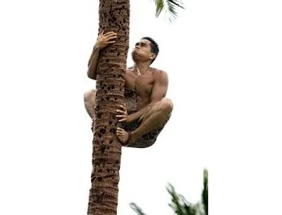 Illustration shin - Image 2