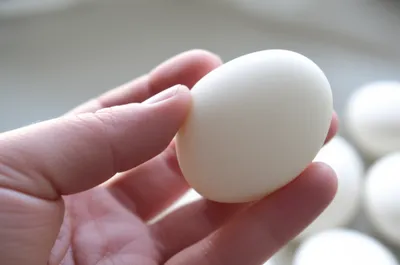 Illustration wanked - Image 1