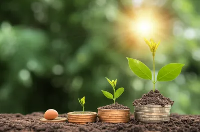 Illustration interests