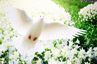 Illustration perfect - Image 1