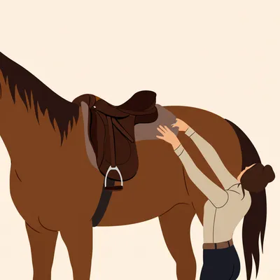 Illustration saddle - Image 1