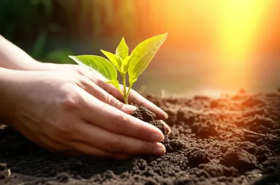 Illustration got - Image 1