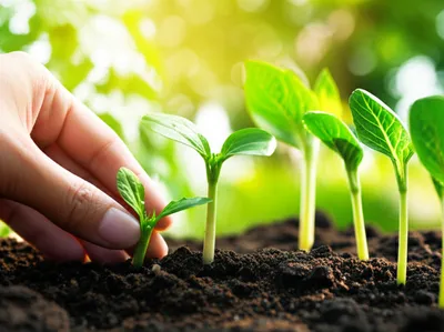 Illustration furtherance