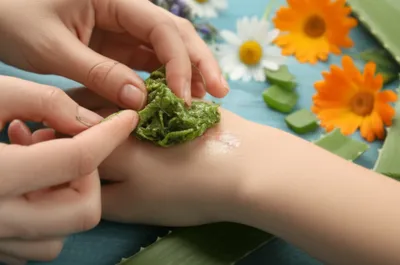 Illustration vulnerary - Image 1