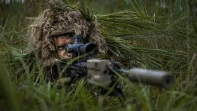 Illustration camouflage - Image 2