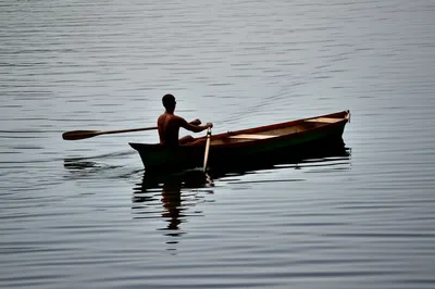 Illustration paddled - Image 1