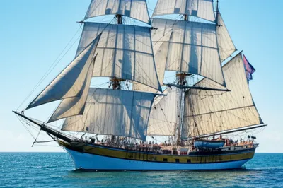 Illustration rigs - Image 1