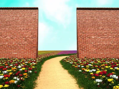 Hình ảnh minh họa preclusion - Ảnh 1