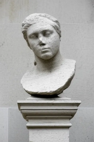 Illustration term - Image 1