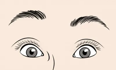 Illustration eyebrows - Image 1