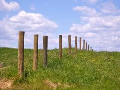 Illustration post - Image 2